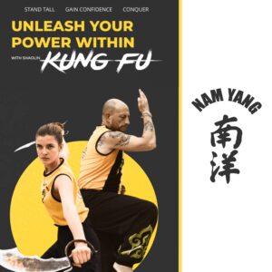 train kungfu online with nam yang